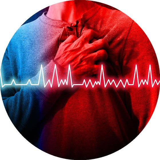 afibinstitute.com.au